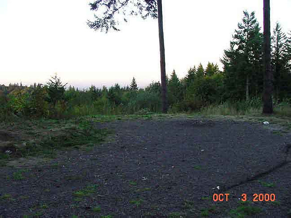 Forest Park