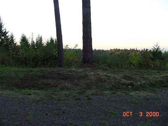 Forest Park