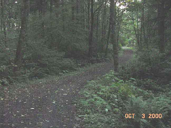 Forest Park