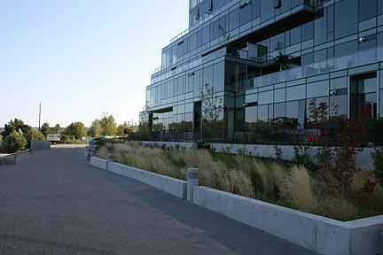 South Water front