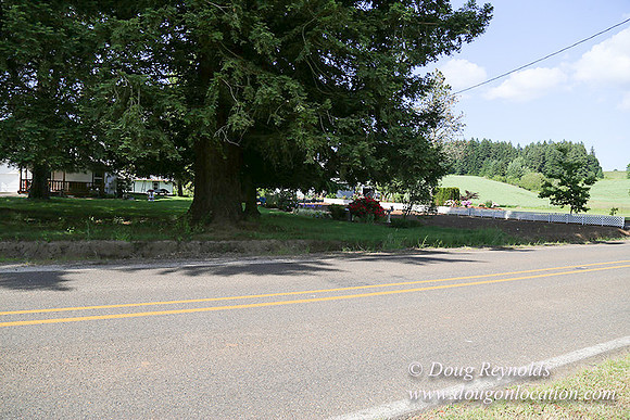 Helvetia rd at Mikes-5946