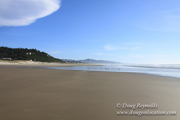 33 Beach MB3 Large Long Deep Sand Beach