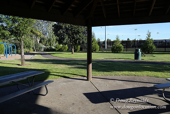 Lincoln Park-0648