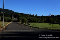 Neil Creek Horses-8552
