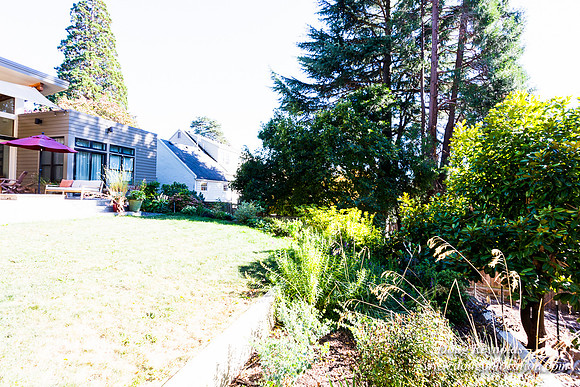 Jenx Back Yard