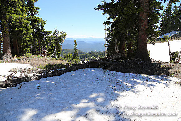 Medow's Snow-5719