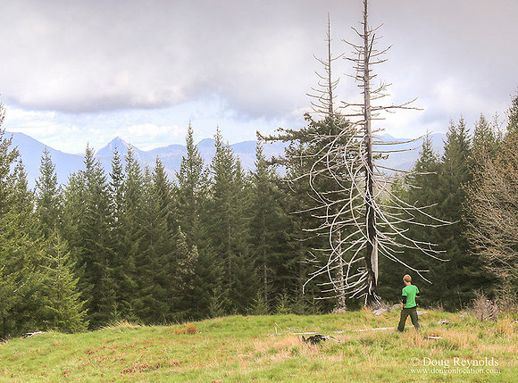 Ross at Wild Horse Tower-ajsrszsg-H2359BL