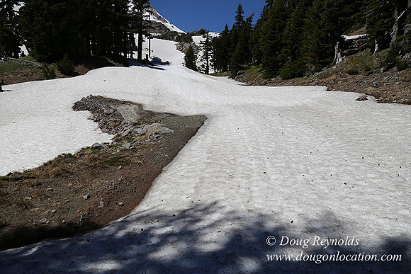 Medow's Snow-5670