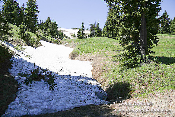 Medow's Snow-5619