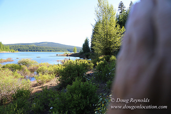 Clear Lake-3615