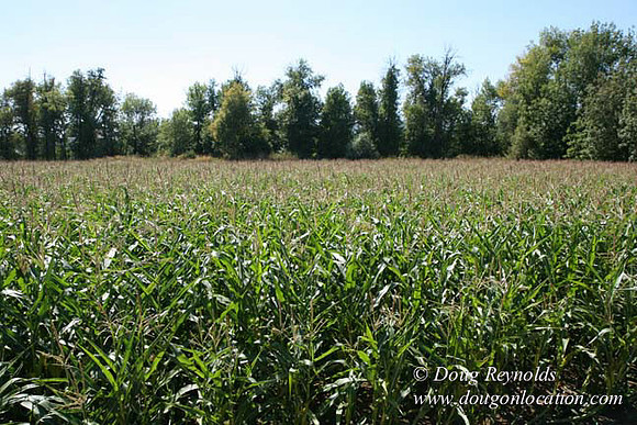 Farm 4 has Barns Shops they grow Wheat and Corn.  in the Portland Zone
