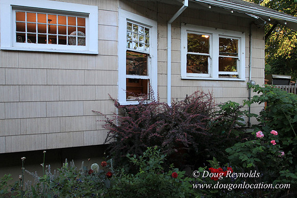 Home" Bungalow, Bee's Back yard Chickens, Small,