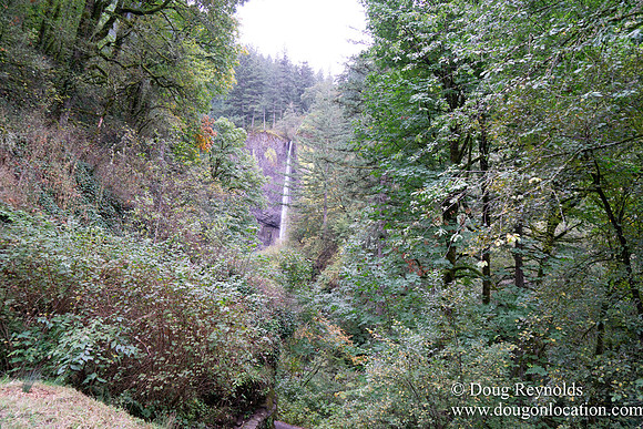 SNog Productions Sony 2016 Oregon