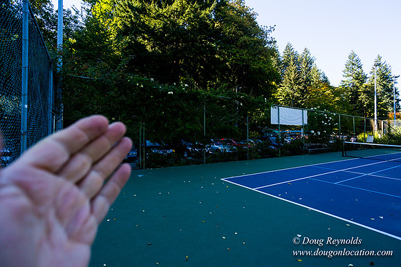 Washington Park Tennis Courts