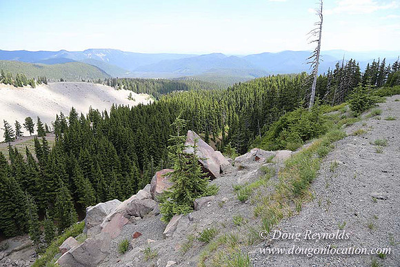 Timberline East rock-6764