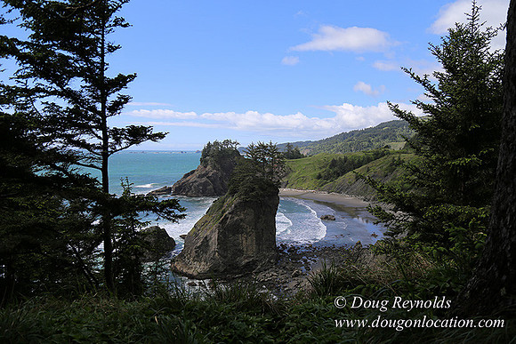 33 Beach AR84-3016