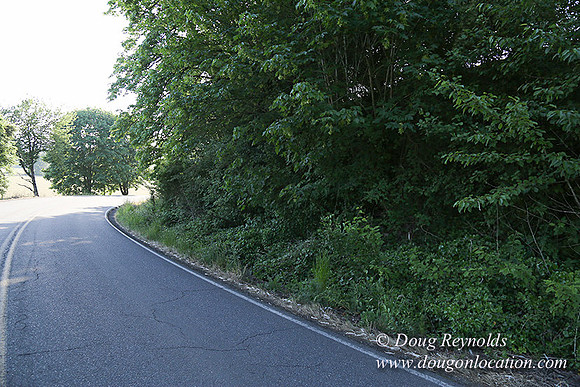 Moores Rd 2-7032