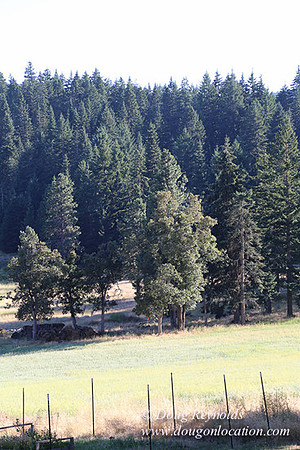 Elk Haven Ranch-8587