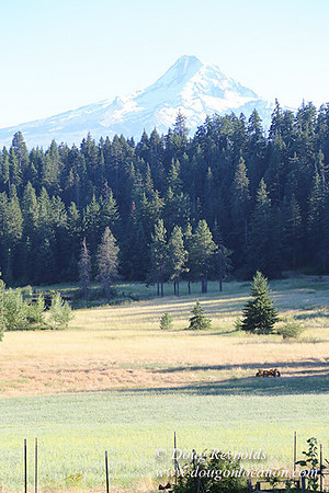 Elk Haven Ranch-8585