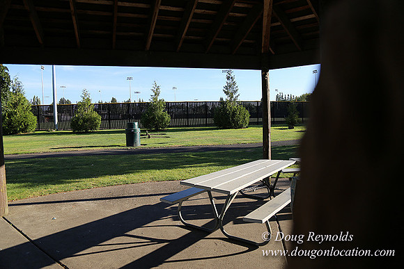 Lincoln Park-0651