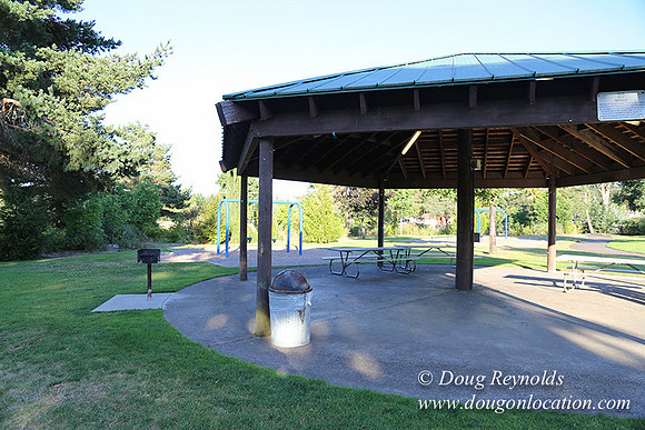 Lincoln Park-0642