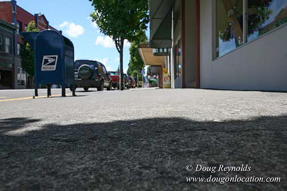Forest Grove-5454