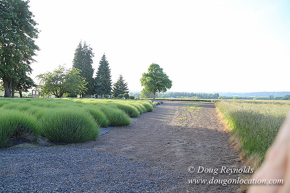 Toms Rd Side-6397