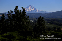 Panorama Point-8285