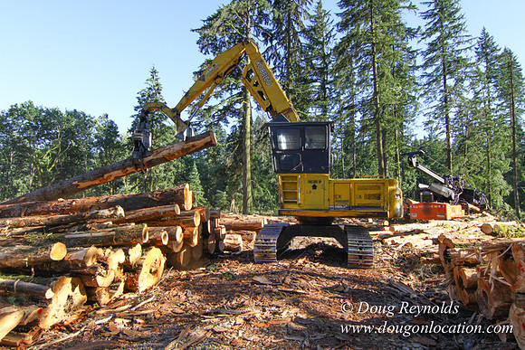 Craig Logging-3178