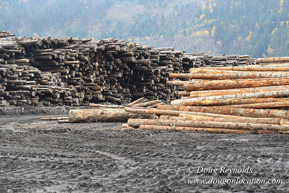 SDS Lumber-1413