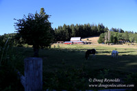 Neil Creek Horses-8543