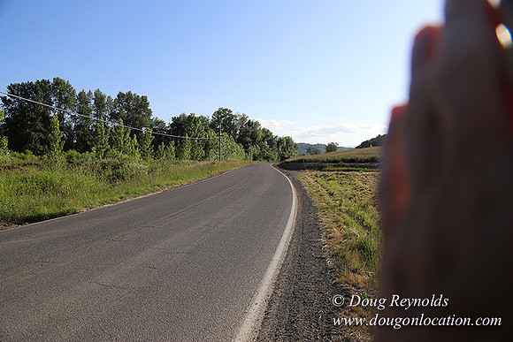 Moores Rd 1-7012