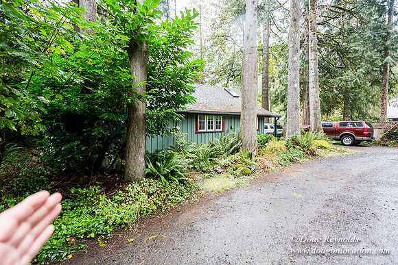 Collins Cabin