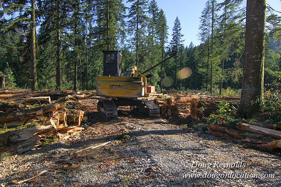 Craig Logging-3163