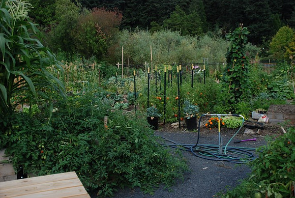 Mt Tabor Park community garden