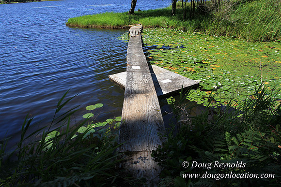 Richter Lake House-8400