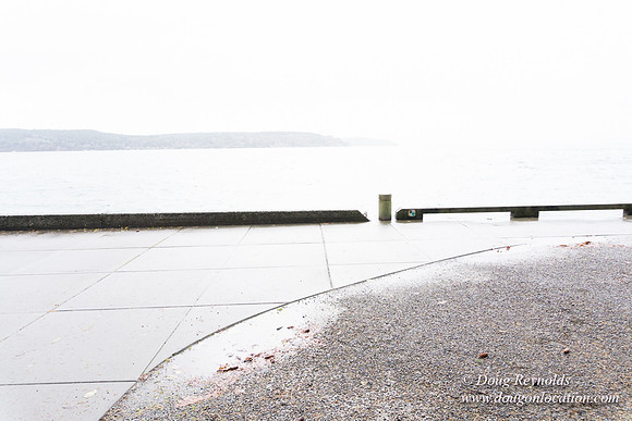Owen Beach At Pt D