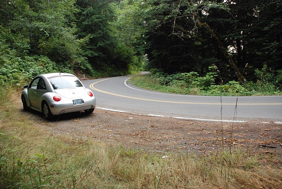 Brower Road-0955