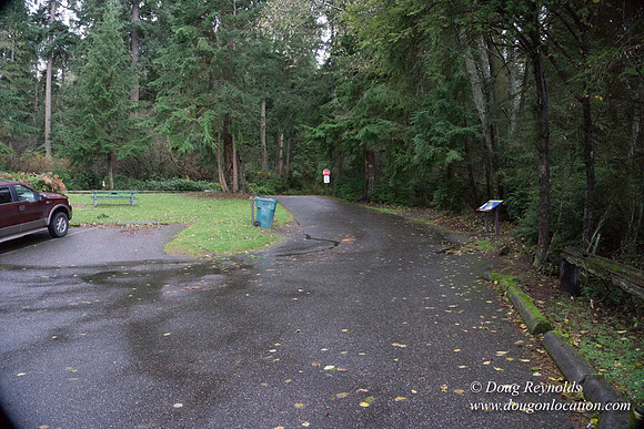 Vashon View