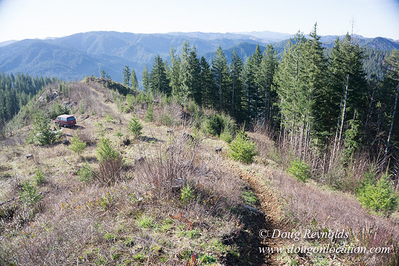 ODF DM View Trail