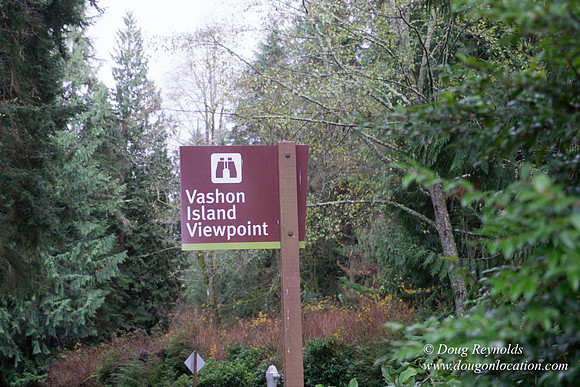 Vashon View