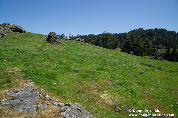 Ranch 26  Large Green Hill-