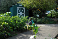 Kennedy community gardens
