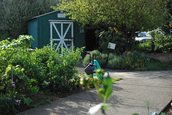 Kennedy community gardens