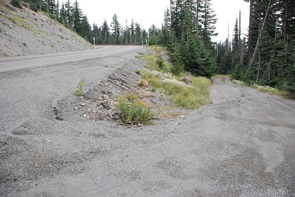 Timberline Road -0819
