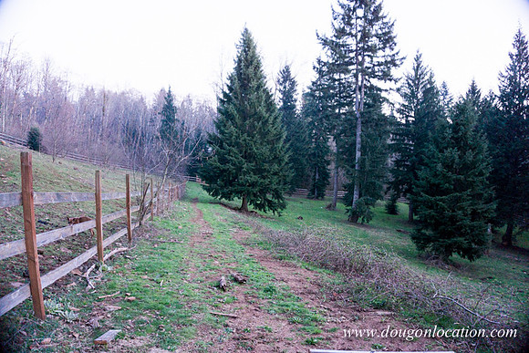 Adams Farm-3101