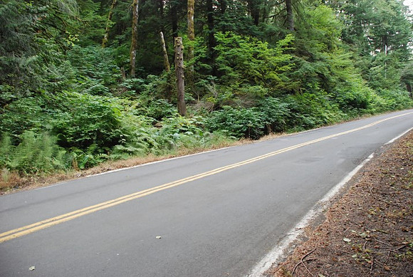 Brower Road-0977