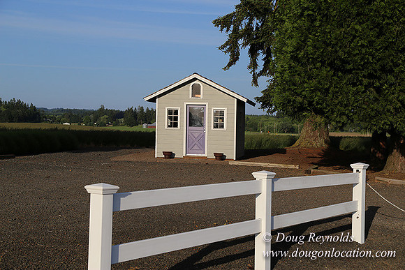 Toms Rd Side-6349
