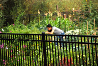 Mt Tabor Park community garden