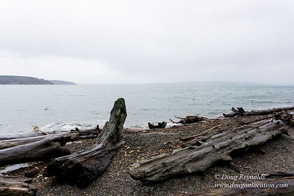 Owen Beach At Pt D